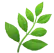 emoji herb