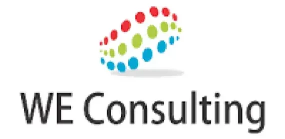 partner we consulting e1734615785196.webp